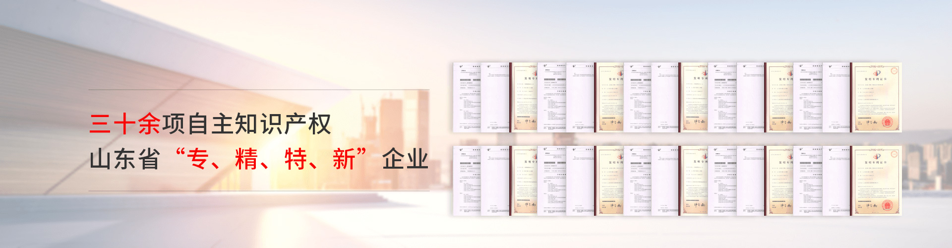專(zhuān)利證書(shū)